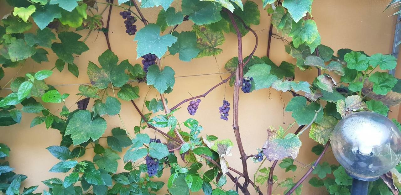 Casa Vacanze Rose E Fiori Sardegna San Vito  Ngoại thất bức ảnh